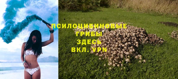 амф Алексин