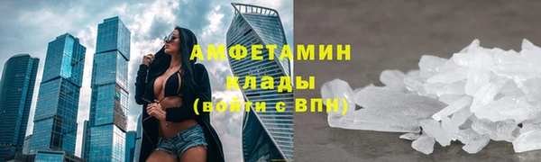 ECSTASY Алзамай