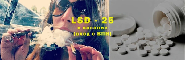 ECSTASY Алзамай