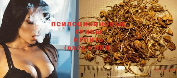 spice Алексеевка