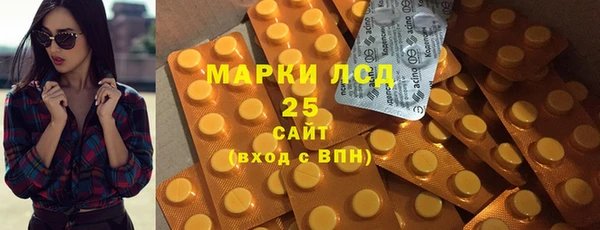 ECSTASY Алзамай